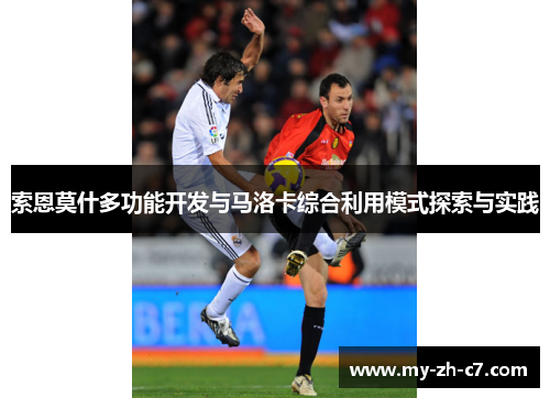 索恩莫什多功能开发与马洛卡综合利用模式探索与实践 索恩莫什多功能开发与马洛卡综合利用模式探索与实践